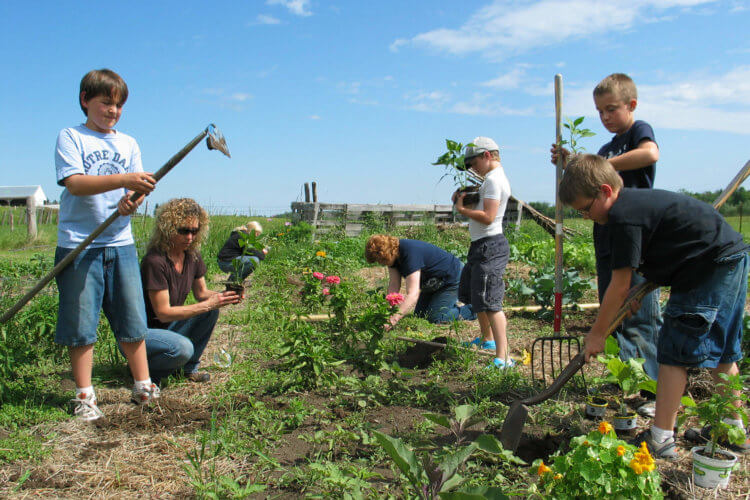 Blog hero Plant Plate 09 boys dig in
