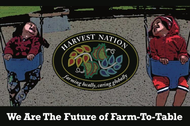 harvest nation