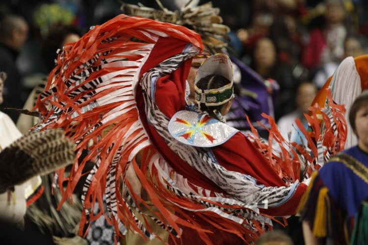 Bemijigamaag pow wow at sanford center