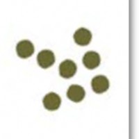 Capacity Conference Logo